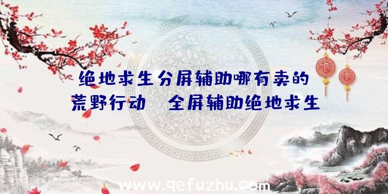 「绝地求生分屏辅助哪有卖的」|荒野行动pc全屏辅助绝地求生